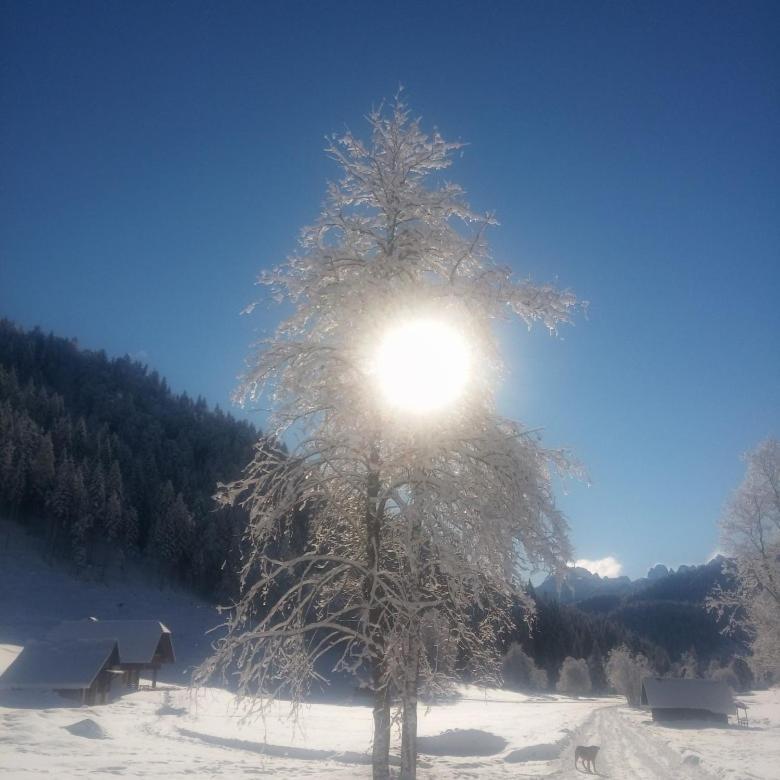 Huatscher Camporosso  Exteriér fotografie