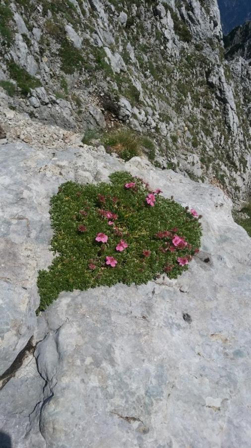 Huatscher Camporosso  Exteriér fotografie